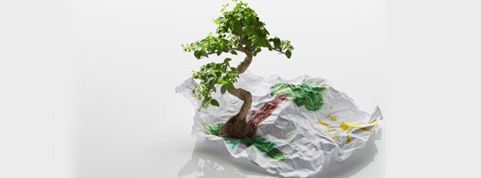 Tree-growing-from-paper-540x200